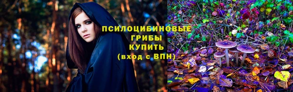 индика Алзамай