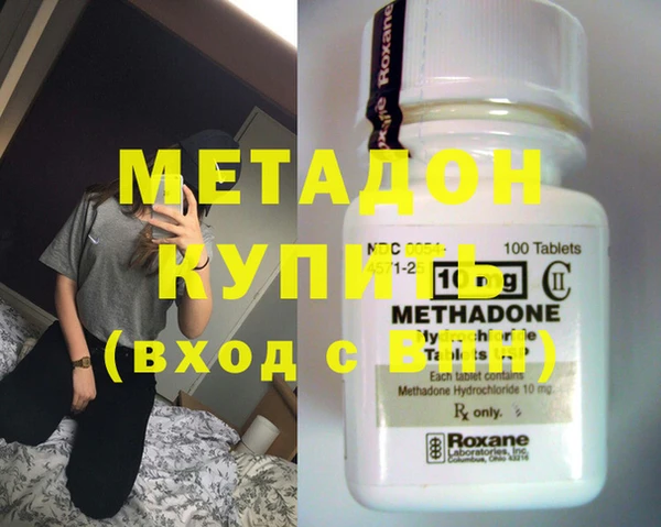 индика Алзамай
