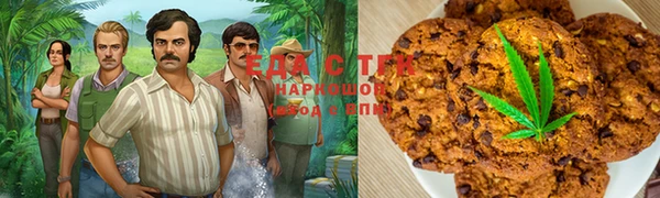 индика Алзамай
