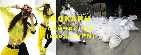 индика Алзамай