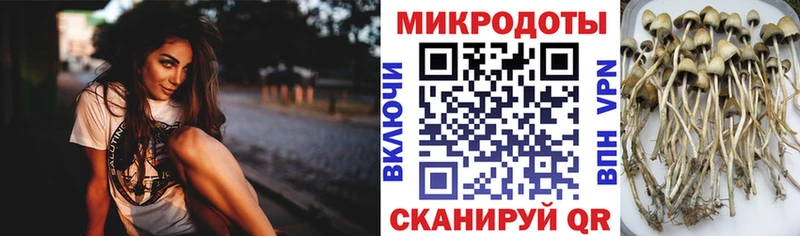 Галлюциногенные грибы MAGIC MUSHROOMS  купить  сайты  Сочи 